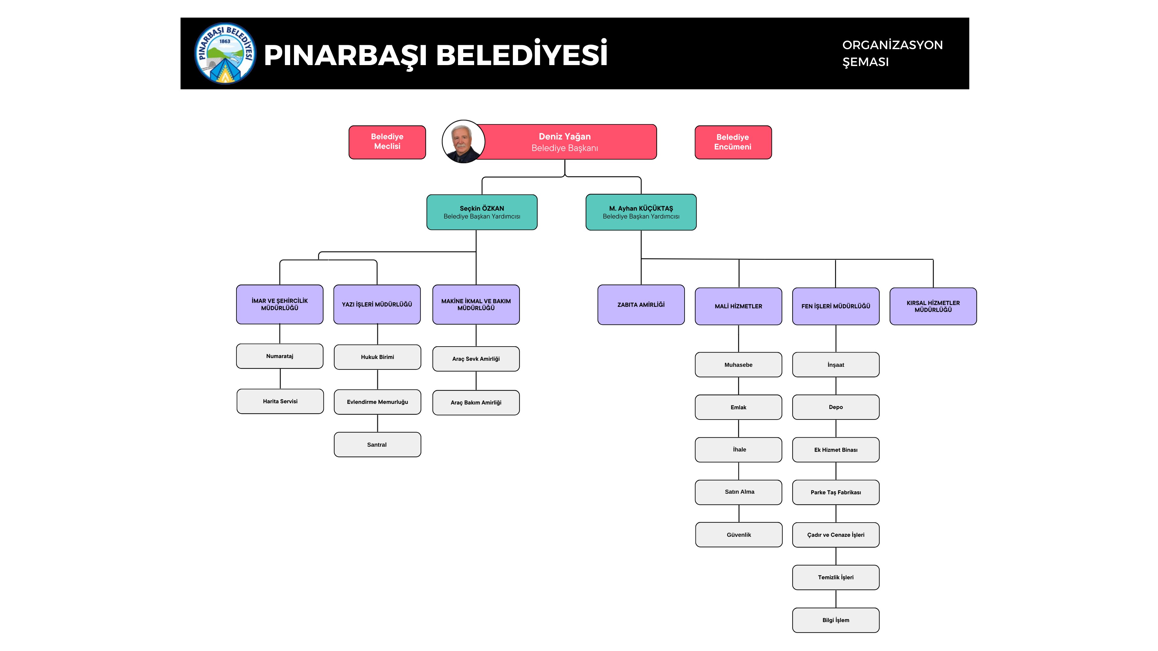 Organizational Chart Whiteboard